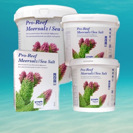 TROPIC MARİN KATEGORİLİ ÜRÜNLERDEN 4 ADET AL SEPPE